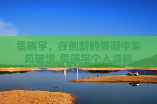 雷晓宇，在创新的浪潮中乘风破浪,雷晓宇个人资料