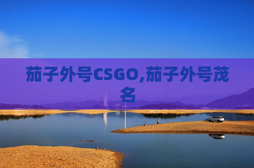 茄子外号CSGO,茄子外号茂名