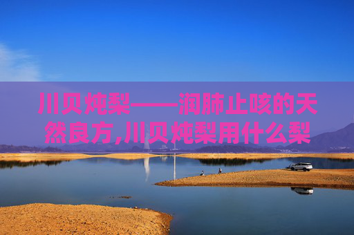 川贝炖梨——润肺止咳的天然良方,川贝炖梨用什么梨