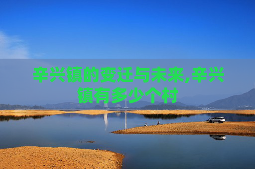 辛兴镇的变迁与未来,辛兴镇有多少个村