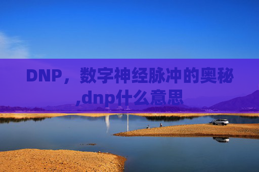 DNP，数字神经脉冲的奥秘,dnp什么意思