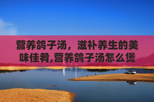 营养鸽子汤，滋补养生的美味佳肴,营养鸽子汤怎么煲
