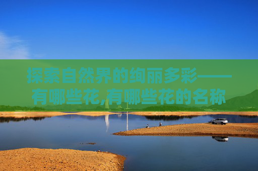 探索自然界的绚丽多彩——有哪些花,有哪些花的名称