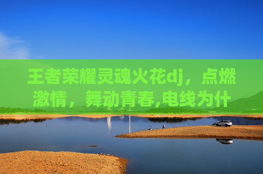 王者荣耀灵魂火花dj，点燃激情，舞动青春,电线为什么是两根