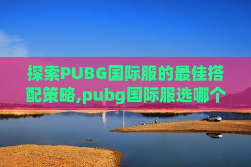 探索PUBG国际服的最佳搭配策略,pubg国际服选哪个服