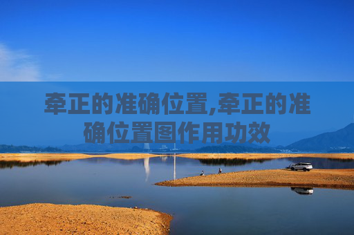 牵正的准确位置,牵正的准确位置图作用功效 牵正的准确位置,牵正的准确位置图作用功效