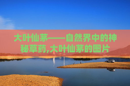 大叶仙茅——自然界中的神秘草药,大叶仙茅的图片 大叶仙茅——自然界中的神秘草药,大叶仙茅的图片