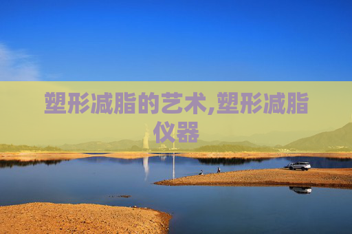 塑形减脂的艺术,塑形减脂仪器 塑形减脂的艺术,塑形减脂仪器