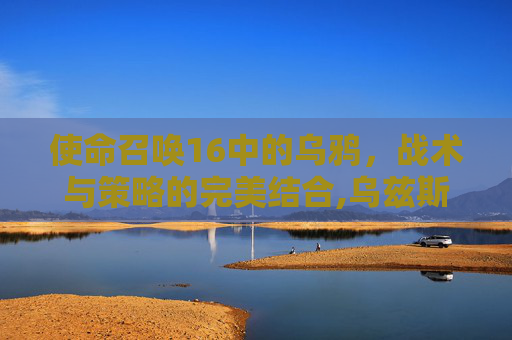 使命召唤16中的乌鸦,战术与策略的完美结合,乌兹斯坦使命召唤16 使命召唤16中的乌鸦,战术与策略的完美结合,乌兹斯坦使命召唤16
