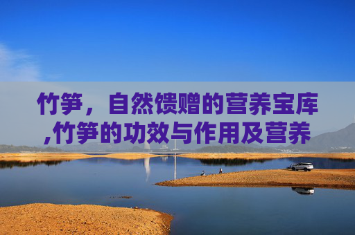 竹笋,自然馈赠的营养宝库,竹笋的功效与作用及营养价值 竹笋,自然馈赠的营养宝库,竹笋的功效与作用及营养价值