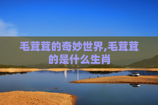 毛茸茸的奇妙世界,毛茸茸的是什么生肖 毛茸茸的奇妙世界,毛茸茸的是什么生肖