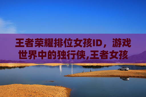 王者荣耀排位女孩ID，游戏世界中的独行侠,王者女孩子id名