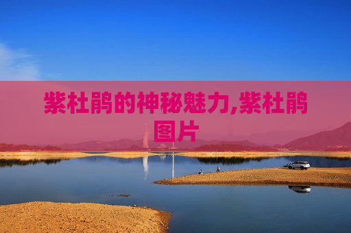 紫杜鹃的神秘魅力,紫杜鹃图片