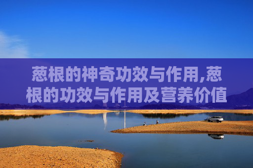葱根的神奇功效与作用,葱根的功效与作用及营养价值