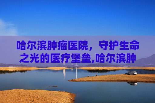 哈尔滨肿瘤医院，守护生命之光的医疗堡垒,哈尔滨肿瘤医院电话