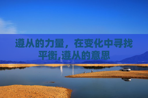 遵从的力量，在变化中寻找平衡,遵从的意思