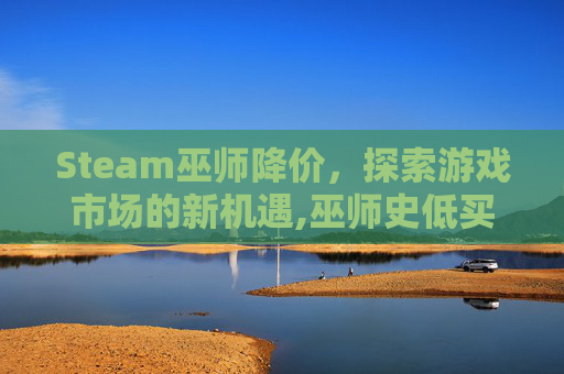 Steam巫师降价，探索游戏市场的新机遇,巫师史低买哪个