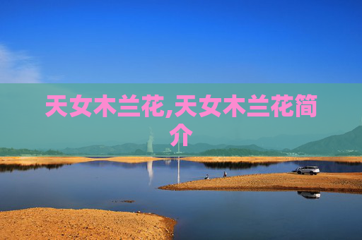 天女木兰花,天女木兰花简介
