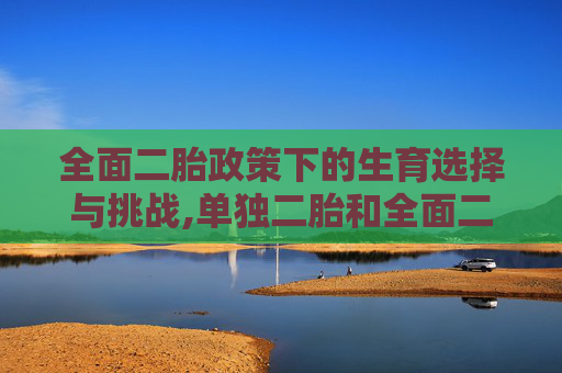 全面二胎政策下的生育选择与挑战,单独二胎和全面二胎