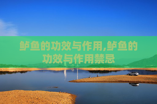 鲈鱼的功效与作用,鲈鱼的功效与作用禁忌