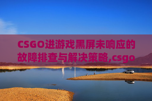 CSGO进游戏黑屏未响应的故障排查与解决策略,csgo黑屏但一直在运行