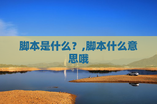 脚本是什么？,脚本什么意思哦