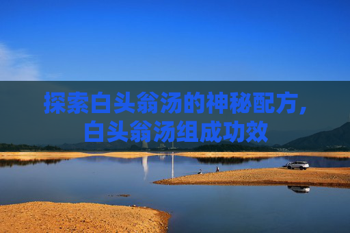 探索白头翁汤的神秘配方,白头翁汤组成功效