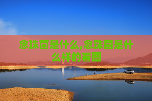念珠菌是什么,念珠菌是什么样的看图