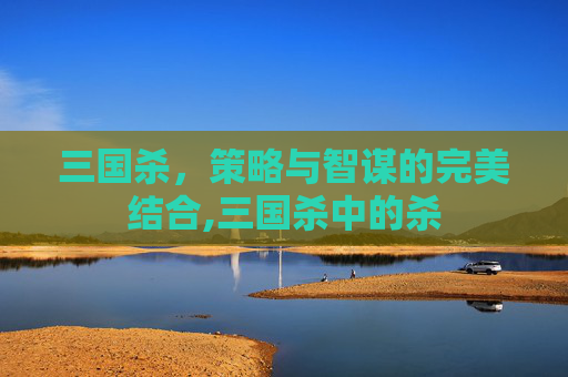 三国杀，策略与智谋的完美结合,三国杀中的杀