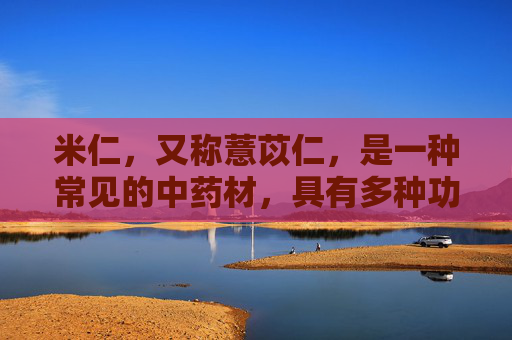 米仁，又称薏苡仁，是一种常见的中药材，具有多种功效与作用。它不仅能够清热解毒、利水渗湿，还有助于健脾养胃、消肿止痛。下面将详细介绍米仁的功效与作用。,米仁的功效与作用及食用方法