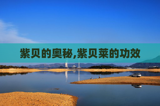 紫贝的奥秘,紫贝莱的功效