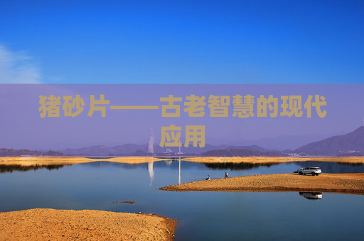 猪砂片——古老智慧的现代应用