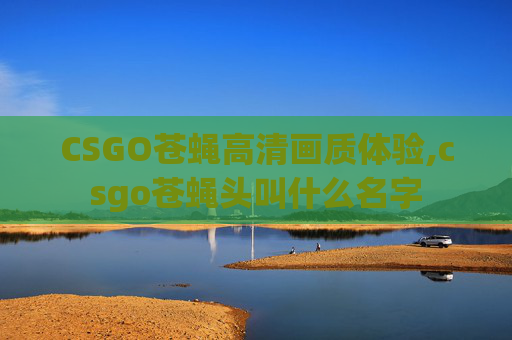 CSGO苍蝇高清画质体验,csgo苍蝇头叫什么名字