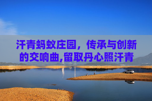 汗青蚂蚁庄园，传承与创新的交响曲,留取丹心照汗青前一句是什么