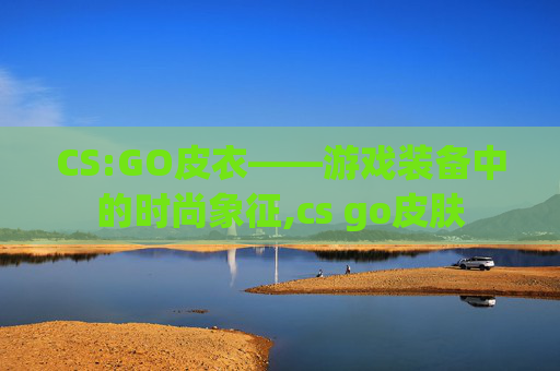CS:GO皮衣——游戏装备中的时尚象征,cs go皮肤