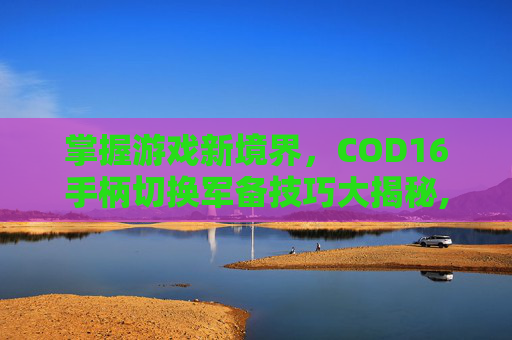 掌握游戏新境界，COD16手柄切换军备技巧大揭秘,cod16手柄自定义按键