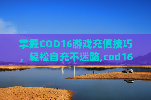 掌握COD16游戏充值技巧，轻松自充不迷路,cod16cp点充值