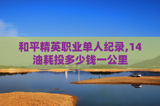 和平精英职业单人纪录,14油耗投多少钱一公里