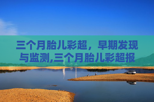 三个月胎儿彩超，早期发现与监测,三个月胎儿彩超报告单图片