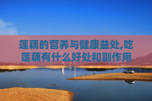 莲藕的营养与健康益处,吃莲藕有什么好处和副作用