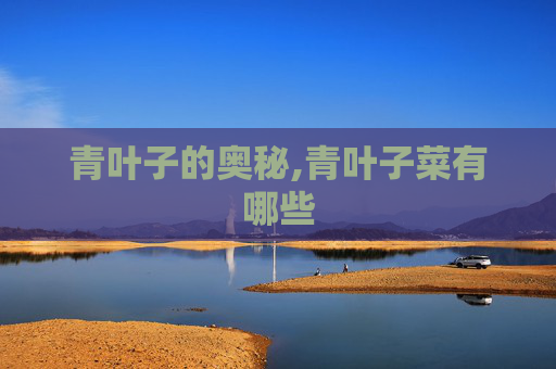 青叶子的奥秘,青叶子菜有哪些