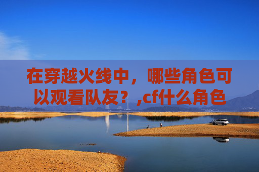 在穿越火线中，哪些角色可以观看队友？,cf什么角色可以看队友战绩