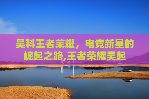 吴科王者荣耀，电竞新星的崛起之路,王者荣耀吴起