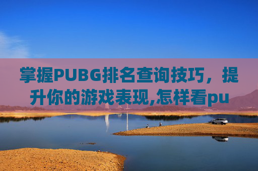 掌握PUBG排名查询技巧，提升你的游戏表现,怎样看pubg当年的排位战绩