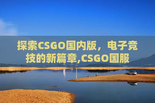 探索CSGO国内版，电子竞技的新篇章,CSGO国服