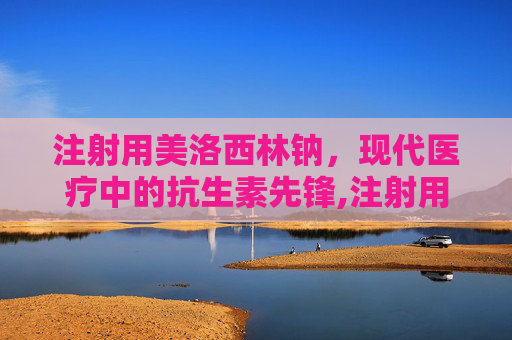 注射用美洛西林钠，现代医疗中的抗生素先锋,注射用美洛西林钠说明书