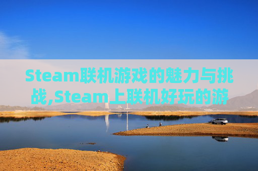Steam联机游戏的魅力与挑战,Steam上联机好玩的游戏