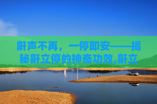 鼾声不再，一停即安——揭秘鼾立停的神奇功效,鼾立停说明书