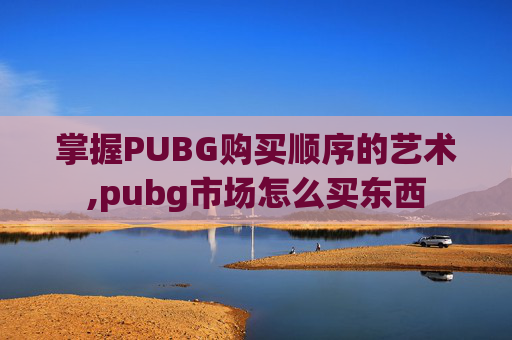 掌握PUBG购买顺序的艺术,pubg市场怎么买东西