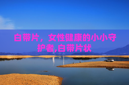 白带片，女性健康的小小守护者,白带片状